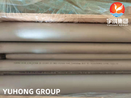 ASTM A790 UNS 31803 Ống thép liền mạch kép để sản xuất bột giấy và giấy
