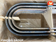 Bình ngưng ống liền mạch bằng thép không gỉ kép ASME SA789/SA790 S32205