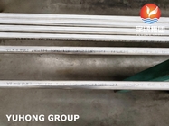 A213 TP304 STAINLESS STEEL BRIGHT ANNEALED U BEND TUBE không may