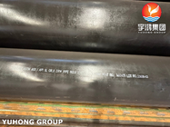 ASTM A53 API 5L Gr.B Black Coating Carbon Steel ERW Pipes cho thiết bị đường ống