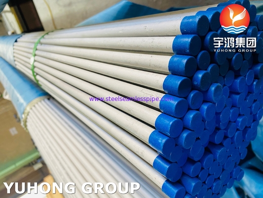 Ống liền mạch bằng thép không gỉ ASTM A213 / ASTM A269 Độ dày thành tối thiểu Thiết bị bay hơi Condensar