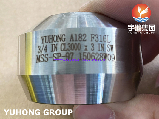 SS Weldolet A182 F316 / F316L Ổ cắm bằng thép không gỉ Phụ kiện rèn