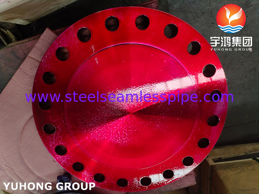 ASTM A182 F304/304L Bờ mù B16.5 Phân hình rèn mặt nâng BLRF # 600