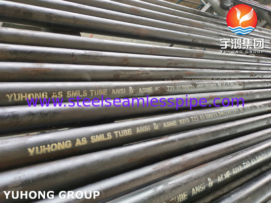 ASME SA213 lớp T22 kim loại hợp kim thép ống liền mạch ống nồi ống ống trao đổi nhiệt ống