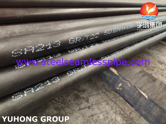 ASME SA213 lớp T22 kim loại hợp kim thép ống liền mạch ống nồi ống ống trao đổi nhiệt ống