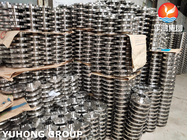 ASME ANSI DIN BS EN Stainless Steel Dupelx Steel Carbon Steel Flange