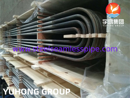 ASME SA213 TP904L UNS NO8904 ống u cong thép không gỉ 19,05 MM X 1,65 MM cho bộ trao đổi nhiệt