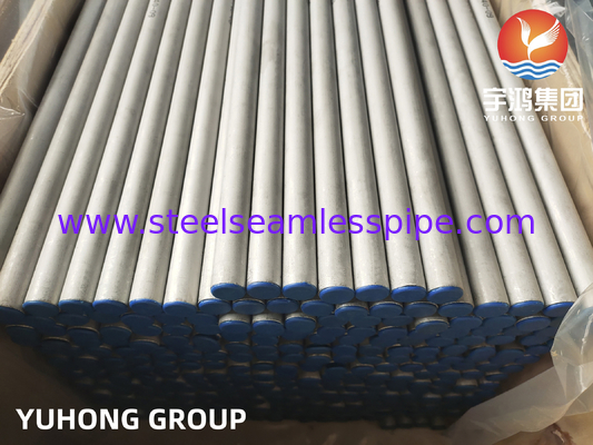 ASTM A213/ ASME SA213 TP317/ TP317L/TP317LMN Bụi không may thép không gỉ