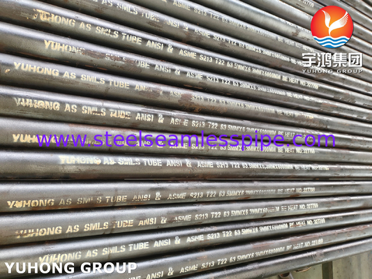 ASME SA213 T22 ống nồi hơi liền mạch bằng thép hợp kim cho lò đốt