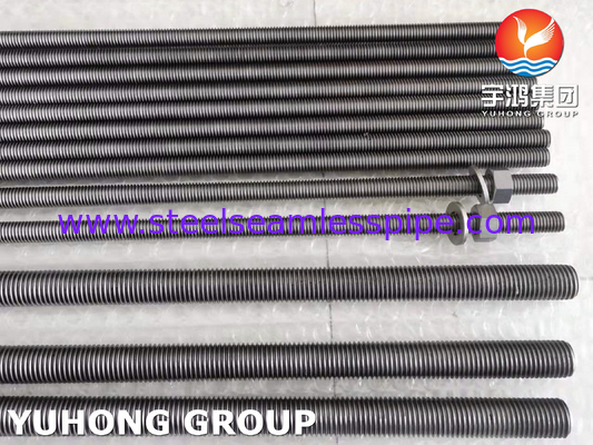 ASTM B348 lớp 2 Titanium Nut Gasket
