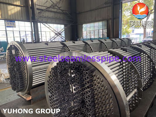 Bộ ống trao đổi nhiệt, ống không thô ASME SA213 TP316L, Tubesheet SA350 LF2 CL1N