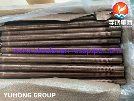 ASTM B111 C70600-O61 Vàng Nickel Thép đơn ống vây thấp