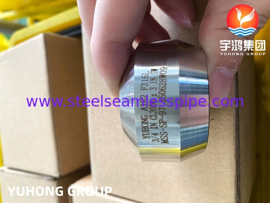 SS Weldolet A182 F316 / F316L Ổ cắm bằng thép không gỉ Phụ kiện rèn