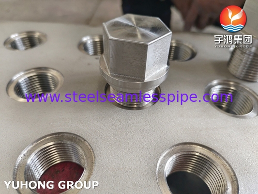 Bolt và hạt thép không gỉ cho ứng dụng TubeSheet trao đổi nhiệt