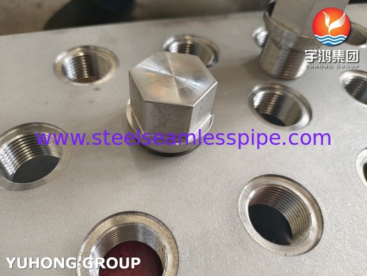 Bolt và hạt thép không gỉ cho ứng dụng TubeSheet trao đổi nhiệt