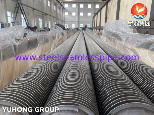 ASTM A312 TP316L Stainless Steel Fin Pipe HFW loại với SS316l Fin For Economizer
