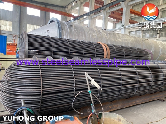 ASME U Stamped Tube Bundle Assembly với bộ trao đổi nhiệt liền mạch U Bend Tube