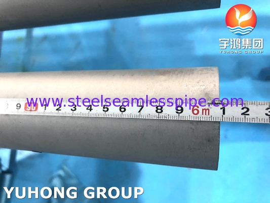 ASTM A789 UNS S32205 ống thép lưỡng dạng không may cho ngành công nghiệp hóa học