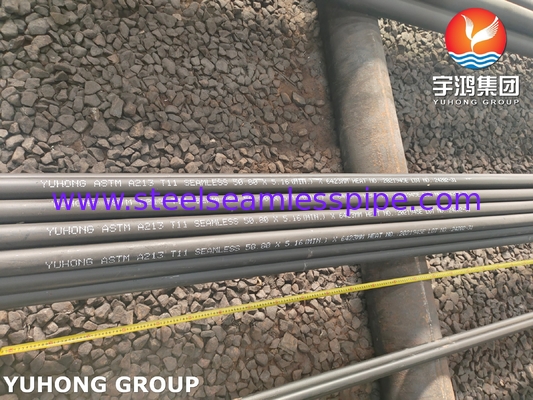 ASTM A213 lớp T11 Chrom Moly Alloy Steel Seamless Boiler Tube