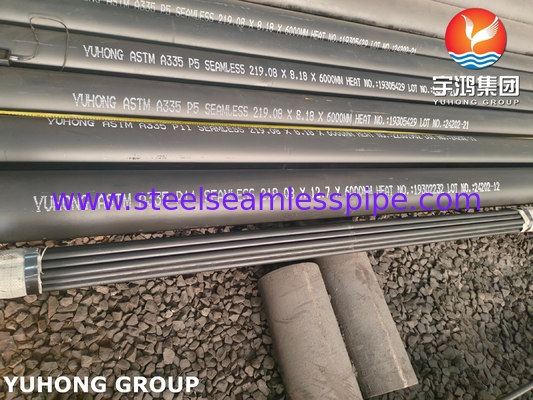 Ống thép hợp kim ASTM A335 lớp P9 P11 P22 P91 cho các ứng dụng nhiệt độ và áp suất cao