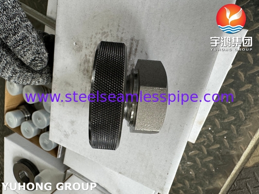A105 Thép carbon Fitting Thread Hex Head Plug11