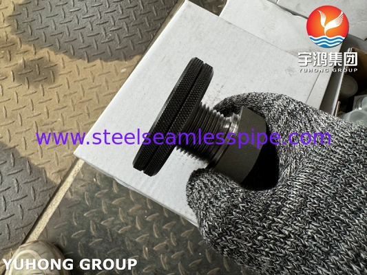 A105 Thép carbon Fitting Thread Hex Head Plug11