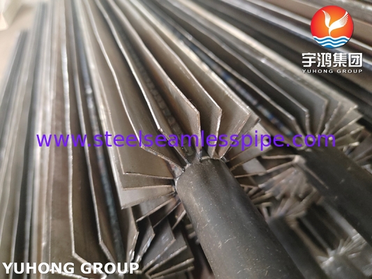 304 ống có vây ASTM A249 U-Bend kiểu dọc cho ngành hóa dầu