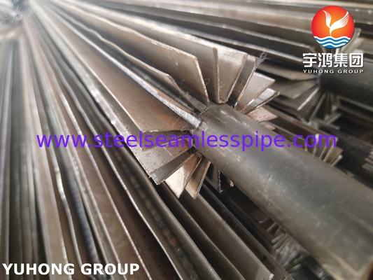 304 ống có vây ASTM A249 U-Bend kiểu dọc cho ngành hóa dầu