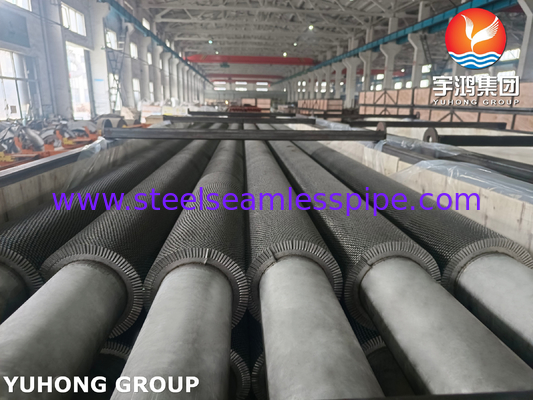 TP304H HFW Fin Tube Serrated Type ASTM A312 cho hệ thống hơi phục hồi nhiệt HRSG