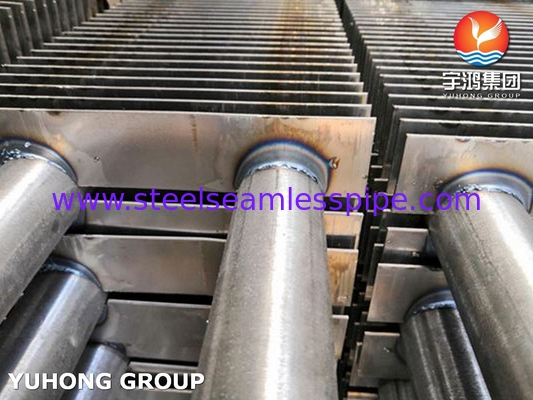 Bụi Vàng Thép không gỉ loại H A213 TP316L với SS Fin SS316L cho máy sưởi khói