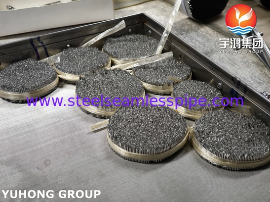 ống kim tiêm thép không gỉ, ISO9626 SUS304, 16G kim thú y cho chăm sóc động vật