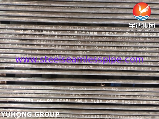 Các ống không may bằng thép hợp kim Chrom-Molybdenum ống nồi hơi không may bằng thép hợp kim A213 T5