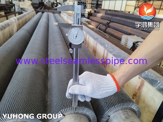 HFW Serrated Fin Tube ASTM A312 TP304H Stainless Steel với SS304 Convection Coil