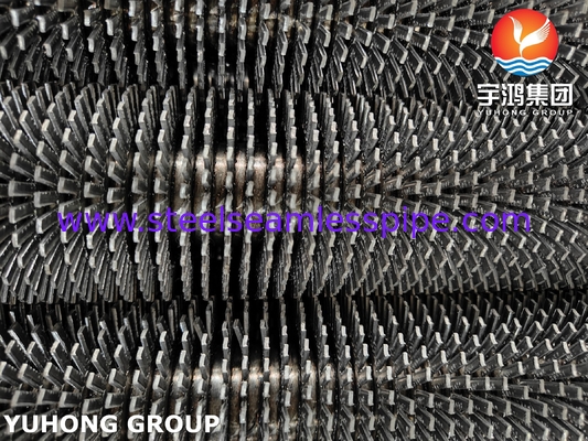 ASTM A335 P22 Ferritic Alloy Steel High Frequency Welding Fin Tube Cho Chuyển nhiệt
