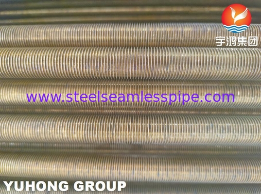 B359 C44300 C44500 đồng hợp kim ống U cong cánh thấp cho máy trao đổi nhiệt ASTM B154-16