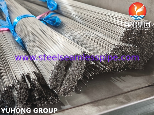 Thép không gỉ chính xác 304 316L ống tóc cho dụng cụ sắc tố