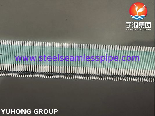 SUS304 Stainless Steel Y tế Lưng Mắt AV Fistula ống kim cho Bệnh Bệnh Bệnh Bệnh Bệnh Bệnh Bệnh Bệnh Bệnh Bệnh Bệnh Bệnh Bệnh Bệnh Bệnh Bệnh Bệnh
