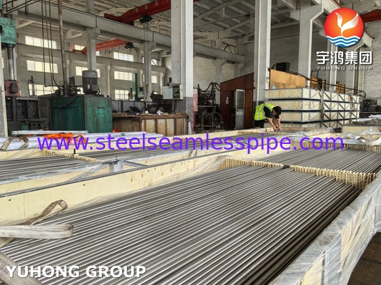 Máy trao đổi nhiệt bằng thép không gỉ ống u u A213/SA213 TP304L Đèn sáng ủ BA Mức không may TP304L / UNS S30403