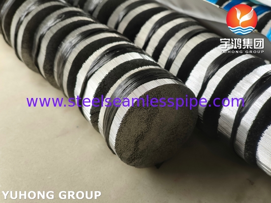 Thép không gỉ 304 ống kim đục để tiêm chất lấp thẩm mỹ