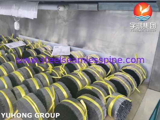 Thép không gỉ 304 ống kim đục để tiêm chất lấp thẩm mỹ