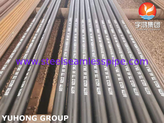 ASTM A213 T5 (UNS K41545) Bụi không may bằng thép hợp kim cho nồi hơi và máy sưởi
