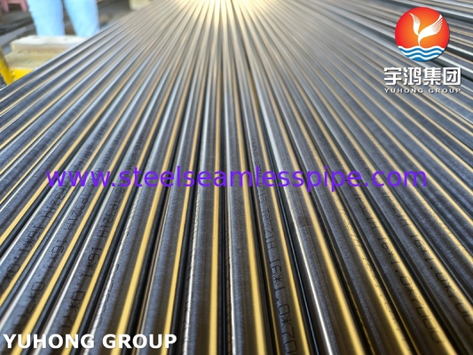 ASTM A213 TP321H S32109 ống trao đổi nhiệt bằng thép không gỉ Đèn sáng