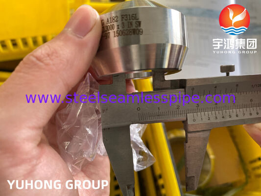 Phụ kiện thép không gỉ ASTM A182 F316/F316L Weldolet BW MSS-SP-97