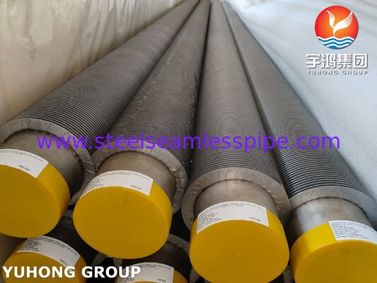 Ống cánh TP347H theo ASTM A376 CS, Ống cánh composite chịu nhiệt độ cao (CS nền + cánh TP347H)