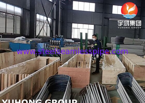 Bơm trao đổi nhiệt U Bend liền mạch cho nhà máy hóa học dầu khí hóa dầu và điện với độ dày tường tối thiểu A213 TP317L