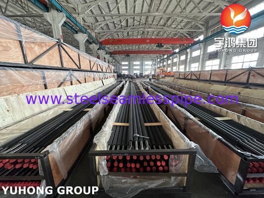 ASTM A213 T91 ống không may bằng thép hợp kim với ống vây CS, ứng dụng HRSG (động cơ lấy nhiệt hơi nước)