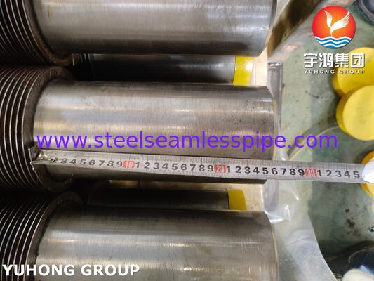 TP321H ống dây chuyền dây chuyền dây chuyền dây chuyền dây chuyền dây chuyền dây chuyền