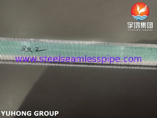 Ống kim AVF y tế bằng thép không gỉ SUS304 để điều trị lọc máu, điểm mắt sau