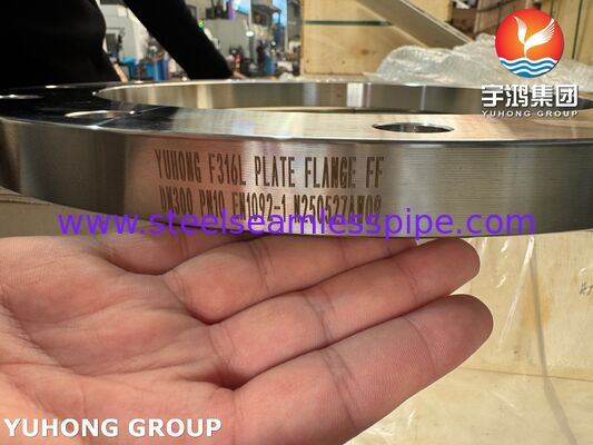 EN1092-1 F316L Thép không gỉ mặt phẳng tấm vòm PN2.5-PN100, DN10-DN600