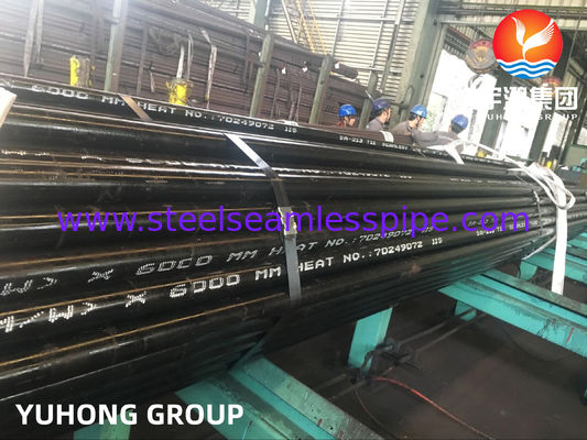 Ống thép hợp kim SA213 T11 / 13CrMo4-5 liền mạch cho dịch vụ nhiệt độ trung bình-cao, cán nóng / hoàn thiện nguội